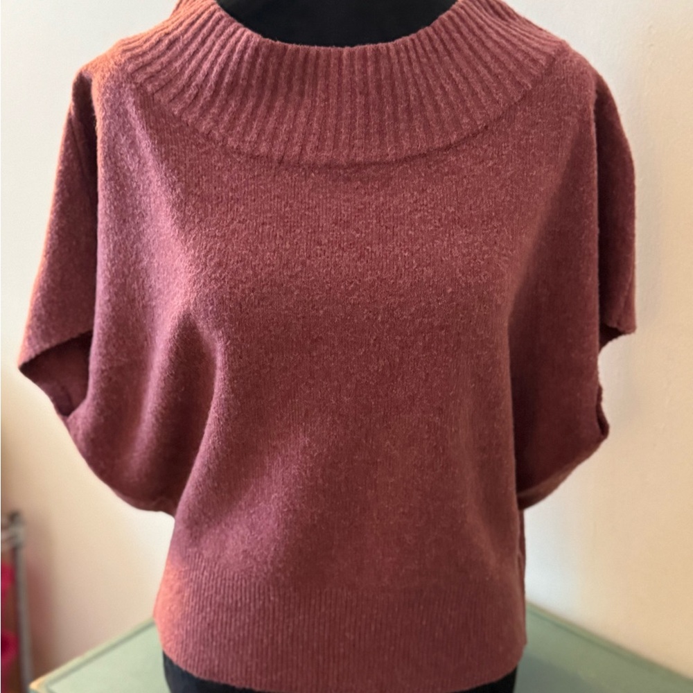 Express Sweater 
Size Small 
New w/o tags